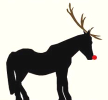 Merry Christmas from Blackie!