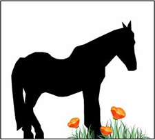Welcome to Spring with Blackie!