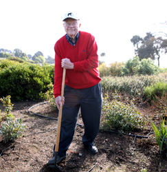 Harvey Rogers in Blackie's Garden
