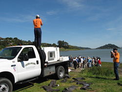 Salmon Release